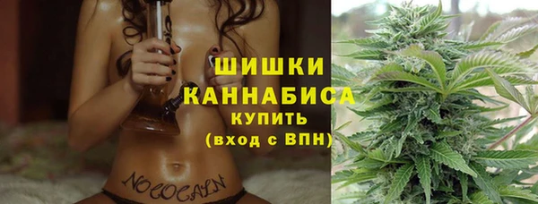 mdpv Елабуга