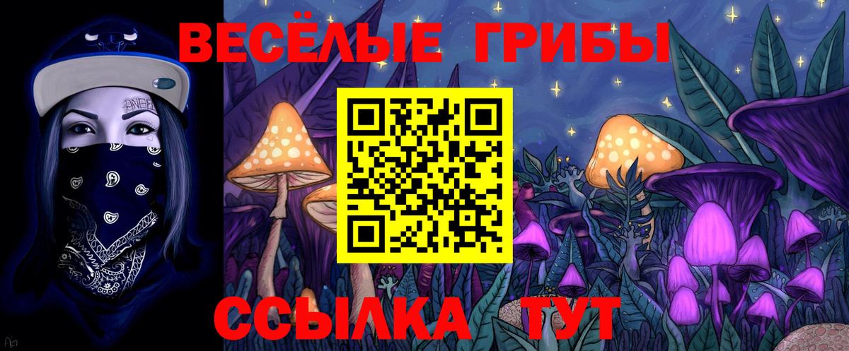 где найти   Вход с VPN  Знаменск  Псилоцибиновые грибы прущие грибы 